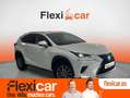 Lexus NX 300 300h Business Navigation 2WD Blanco - thumbnail 1