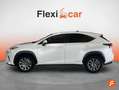 Lexus NX 300 300h Business Navigation 2WD Blanco - thumbnail 4