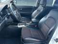 SsangYong Korando D20T Premium Plus 4x2 Aut. Blanco - thumbnail 9