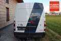 Nissan NV400 Kastenwagen 2.3l 110kW dCi Diesel KAT L2H... Blanc - thumbnail 6