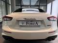 Maserati Ghibli Ghibli 2.0 mhev GT 330cv auto Gransport Nerissimo Blanco - thumbnail 23