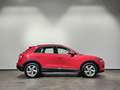 Audi Q3 35 TFSI Sport Virtual LED Acc Standheizung Sport A Rot - thumbnail 7