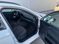 SEAT Leon SP Reference 2,0 TDI **AHK**GARANTIE** Weiß - thumbnail 20