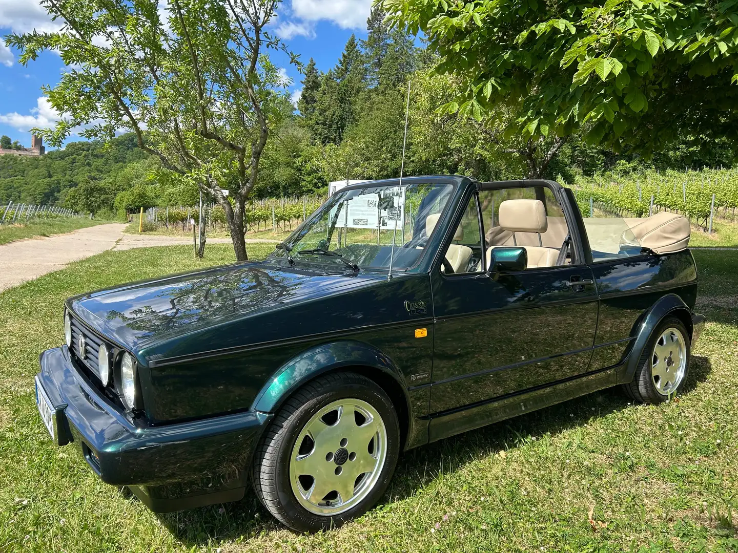 Volkswagen Golf Cabriolet Golf Cabrio Classicline Grün - 2