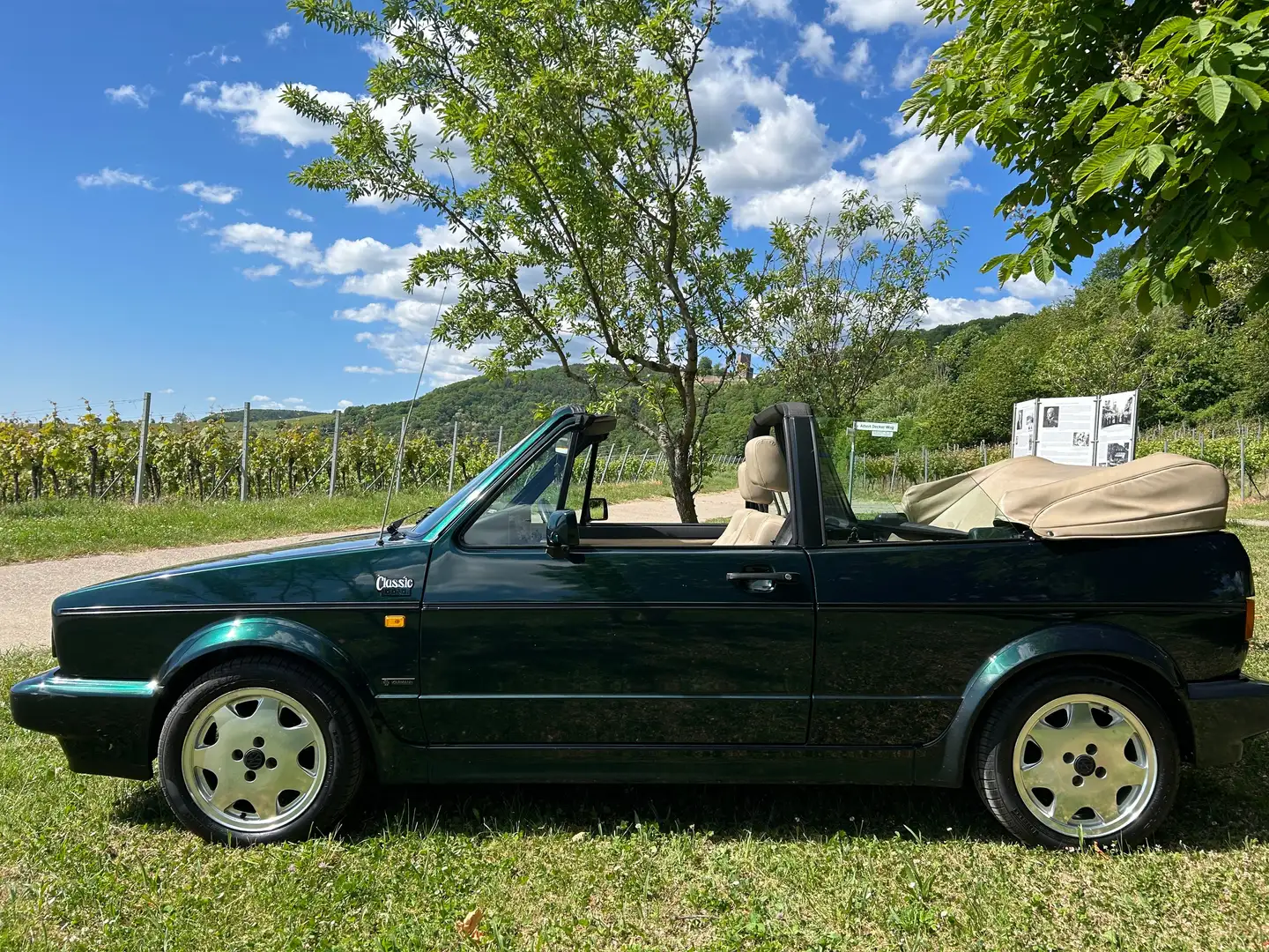 Volkswagen Golf Cabriolet Golf Cabrio Classicline Grün - 1