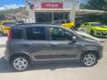 Fiat Panda Panda III 2021 1.0 firefly hybrid s Grigio - thumbnail 3