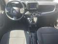 Fiat Panda Panda III 2021 1.0 firefly hybrid s Grigio - thumbnail 7