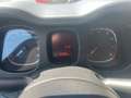 Fiat Panda Panda III 2021 1.0 firefly hybrid s Grigio - thumbnail 8