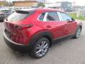 Mazda CX-30 /G140/Exclusive-Line Modell 2025 Rot - thumbnail 6