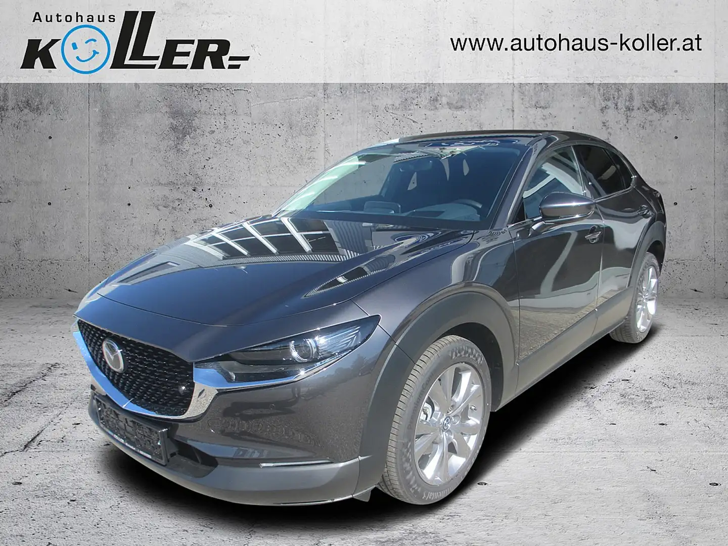 Mazda CX-30 /G140/Exclusive-Line Modell 2025 Gris - 1
