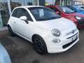Fiat 500 500 1.0 hybrid 70cv Blanc - thumbnail 3