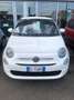 Fiat 500 500 1.0 hybrid 70cv Blanc - thumbnail 2