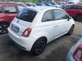 Fiat 500 500 1.0 hybrid 70cv Blanc - thumbnail 5