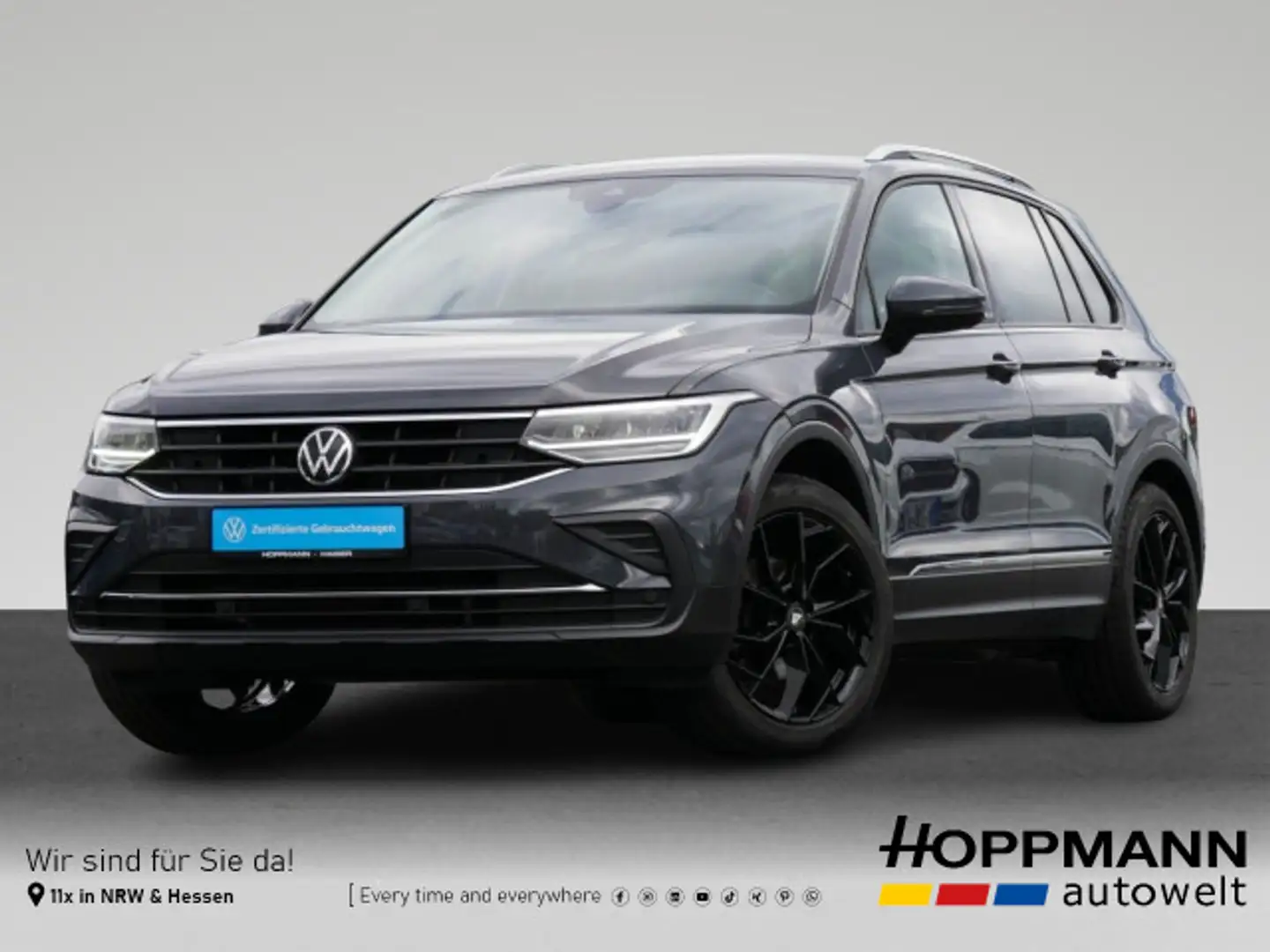 Volkswagen Tiguan 1.5 TSI Active Kamera Navi LED SHZ Gris - 1