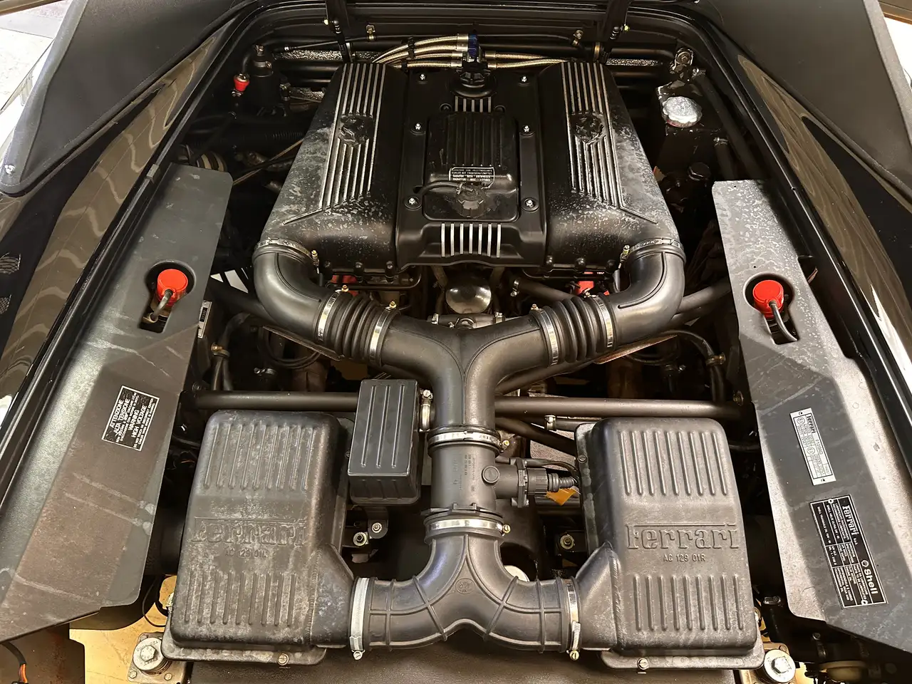 Ferrari F355 Spider | Manuell | Historie | Sammler | Top, foto 9
