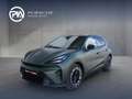 CUPRA Raval VZ 52/55 166 kW/225 PS Grün - thumbnail 1