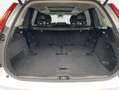 Volvo XC90 XC90 B5 D AWD Plus Bright Weiß - thumbnail 9
