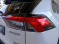 Suzuki Across 2.5 PHEV 4X4 - thumbnail 13