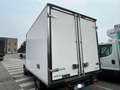 Iveco Daily 35S16 2.3 160Cv FRIGO -20° GRADI Cabinato Blanc - thumbnail 5