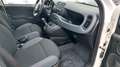 Fiat Panda Panda III 2016 1.2 Easy 69cv Bianco - thumbnail 12