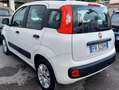 Fiat Panda Panda III 2016 1.2 Easy 69cv Bianco - thumbnail 4