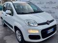 Fiat Panda Panda III 2016 1.2 Easy 69cv Bianco - thumbnail 1