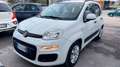 Fiat Panda Panda III 2016 1.2 Easy 69cv Bianco - thumbnail 3