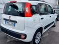 Fiat Panda Panda III 2016 1.2 Easy 69cv Bianco - thumbnail 2