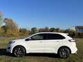 Ford Edge 2.0 TDCI 210 CV AWD S&S Powershift ST Line Weiß - thumbnail 8