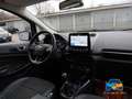 Ford EcoSport 1.0 ecoboost Plus 100cv my19 ProMMo Violett - thumbnail 13