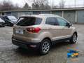 Ford EcoSport 1.0 ecoboost Plus 100cv my19 ProMMo Violett - thumbnail 5