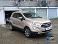 Ford EcoSport 1.0 ecoboost Plus 100cv my19 ProMMo Violett - thumbnail 3