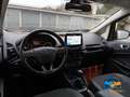 Ford EcoSport 1.0 ecoboost Plus 100cv my19 ProMMo Violett - thumbnail 11