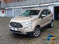 Ford EcoSport 1.0 ecoboost Plus 100cv my19 ProMMo Violett - thumbnail 1