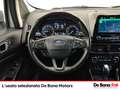 Ford EcoSport 1.0 ecoboost titanium s&s 125cv auto Grau - thumbnail 10