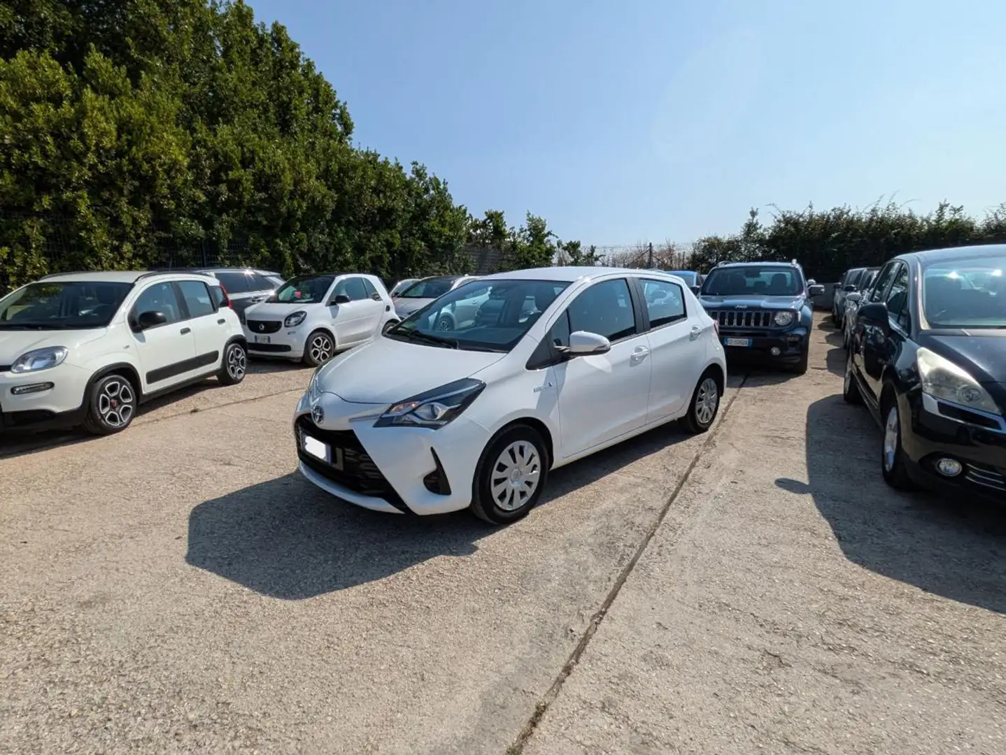 Toyota Yaris COOL 1.5h 73cv SAFETYPACK CLIMA AUTO Bianco - 1