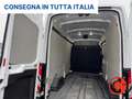 Ford Transit 350 2.0TDC(L3-H3)SENSORI-CRUISE-ASSISTENZA FRENATA Bianco - thumbnail 31