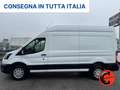 Ford Transit 350 2.0TDC(L3-H3)SENSORI-CRUISE-ASSISTENZA FRENATA Bianco - thumbnail 3