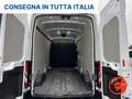Ford Transit 350 2.0TDC(L3-H3)SENSORI-CRUISE-ASSISTENZA FRENATA Bianco - thumbnail 14