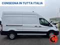 Ford Transit 350 2.0TDC(L3-H3)SENSORI-CRUISE-ASSISTENZA FRENATA Bianco - thumbnail 2