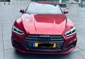Audi S5 Audi S5 Exclusive FAST PRICE Piros - thumbnail 3