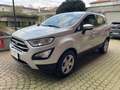 Ford EcoSport Ecoboost 1.0 100cv Plus My 19 Zilver - thumbnail 1
