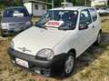Fiat 600 1.1 BENZ 3P ACTIVE Bianco - thumbnail 5