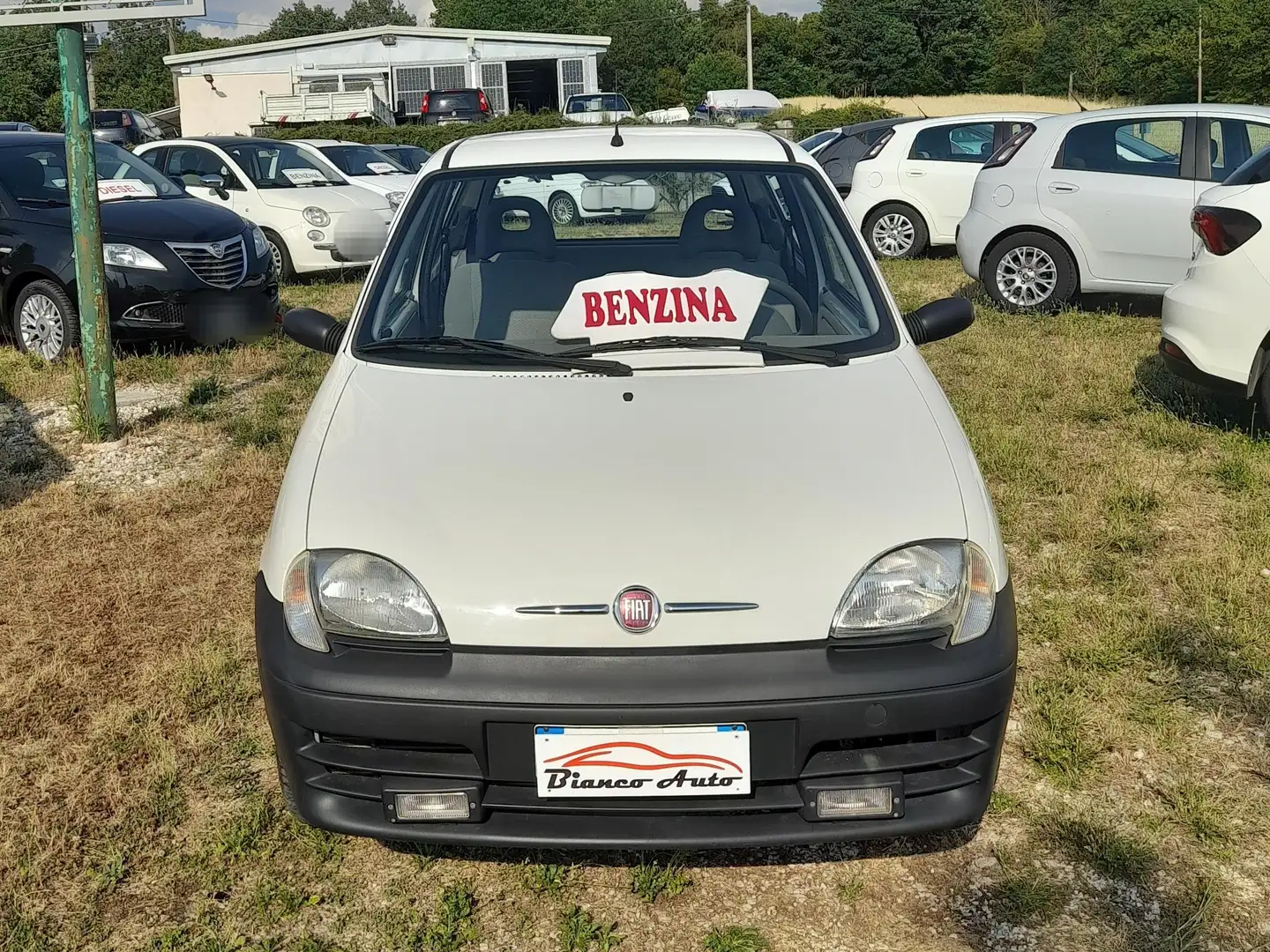 Fiat 600 1.1 BENZ 3P ACTIVE Bianco - 1