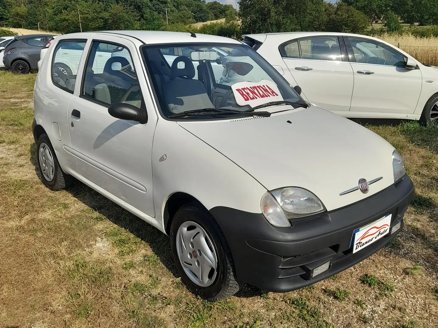 Fiat 600 1.1 BENZ 3P ACTIVE Bianco - 2