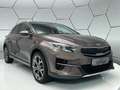 Kia XCeed 1.6 GDI Plug-In Hybrid Business Navi LED Brun - thumbnail 44