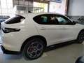 Alfa Romeo Stelvio 2.2 Td 210 CV Q4 Veloce PROMO Bianco - thumbnail 13