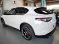 Alfa Romeo Stelvio 2.2 Td 210 CV Q4 Veloce PROMO Bianco - thumbnail 8