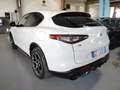 Alfa Romeo Stelvio 2.2 Td 210 CV Q4 Veloce PROMO Bianco - thumbnail 9