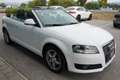 Audi A3 Cabriolet 1.6 Attraction Weiß - thumbnail 12